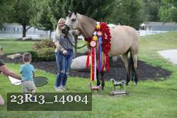 23R13_14004 thumbnail